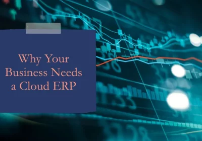 Potential Reasons Why Your Growing Business Needs a Cloud ERP Solution